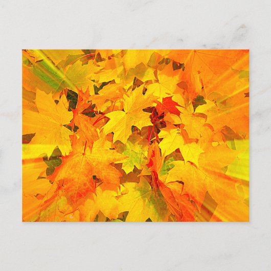 Colour Burst of Fall Leaves Autumn Colors Briefkaart (Voorkant)