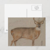 Colour Deer Briefkaart (Voorkant / Achterkant)