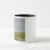 Colour Guard 2-mok Mok (Midden)