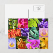 Colour Me Happy Briefkaart (Voorkant / Achterkant)