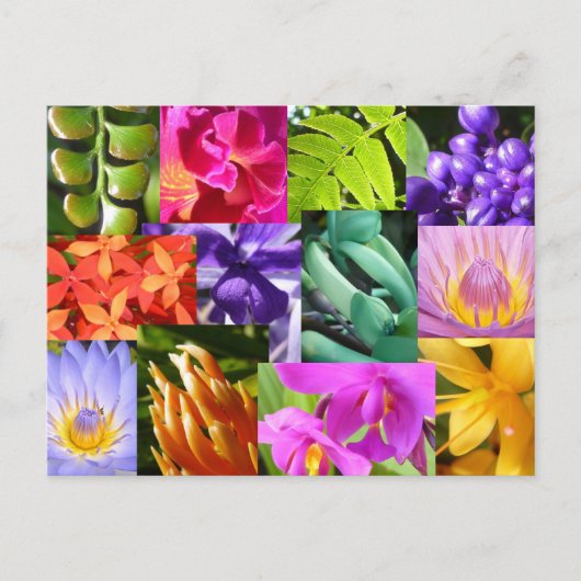 Colour Me Happy Briefkaart (Voorkant)