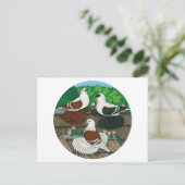 Colour Pigeon Trio Briefkaart (Staand voorkant)