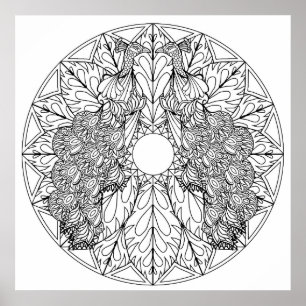 Colour Yourself Mandala Poster Art Peacocks Birds