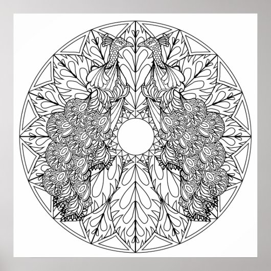 Colour Yourself Mandala Poster Art Peacocks vogels (Voorkant)