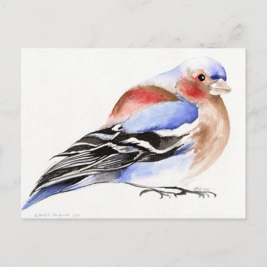 Colourful Chaffinch 2011 Briefkaart (Voorkant)