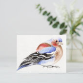 Colourful Chaffinch 2011 Briefkaart (Staand voorkant)