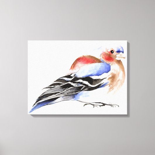 Colourful Chaffinch 2011 Canvas Afdruk (Voorkant)