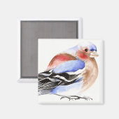 Colourful Chaffinch 2011 Magneet (Voorkant / Achterkant)
