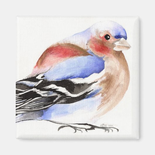 Colourful Chaffinch 2011 Magneet (Voorkant)