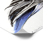 Colourful Chaffinch 2011 Poster (Hoek)