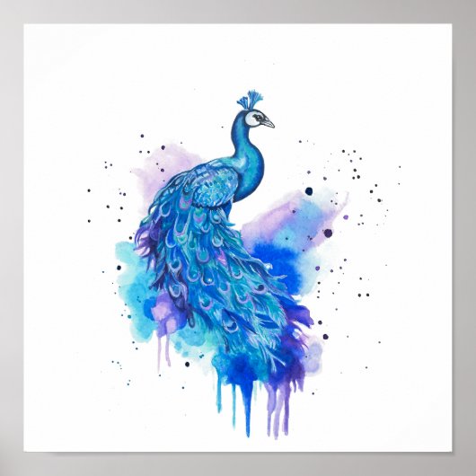 Colourful Peacock Watercolour Art Poster (Voorkant)