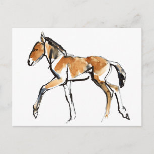 Colt Briefkaart