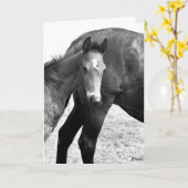 Colt Happy Birthday Kaart (Gele Bloem)