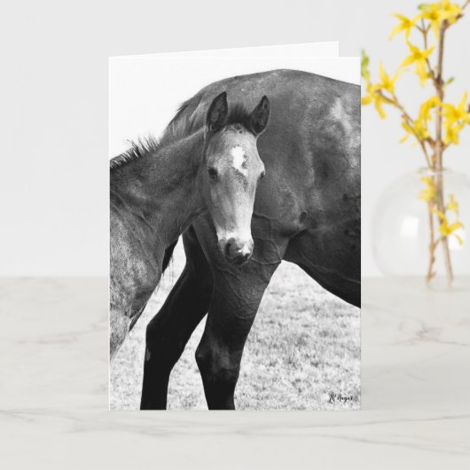 Colt Happy Birthday Kaart (Gele Bloem)