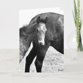 Colt Happy Birthday Kaart