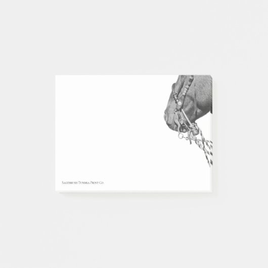 Colt in the Two Rein - 3" x 4" Notes (Voorkant)