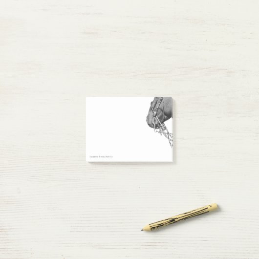 Colt in the Two Rein - 3" x 4" Notes (Op bureau)