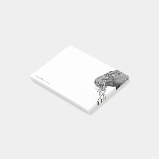 Colt in the Two Rein - 3" x 4" Post-it Notes (Schuin)