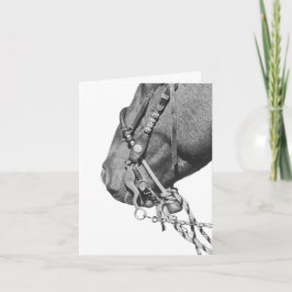 Colt in the Two Rein - 4" x 5.6" Notecard Kaart