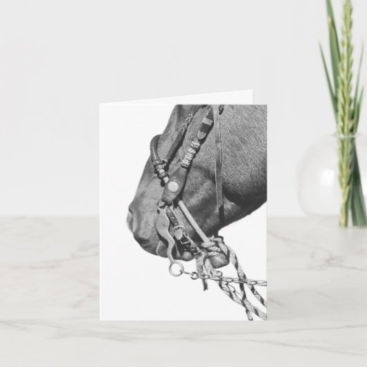 Colt in the Two Rein - 4" x 5.6" Notecard Kaart (Voorkant)