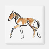 Colt Magneet (Voorkant)