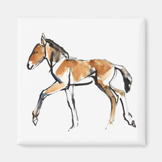 Colt Magneet (Voorkant)