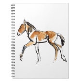 Colt Notitieboek (Voorkant)