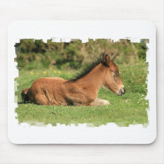 Colt Resting in Grass Muismat (Voorkant)