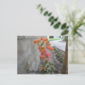 COLTON, C.A., BRIEFKAART (Staand voorkant)