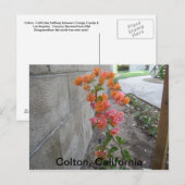COLTON, C.A., BRIEFKAART (Voorkant / Achterkant)