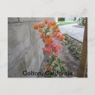 COLTON, C.A., BRIEFKAART