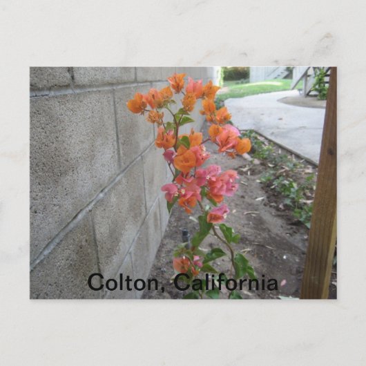 COLTON, C.A., BRIEFKAART (Voorkant)