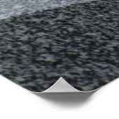 Columba livia domestica poster (Hoek)