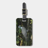 Columba palumbus bagagelabel (Voorkant verticaal)