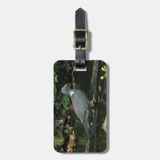 Columba palumbus bagagelabel (Voorkant verticaal)