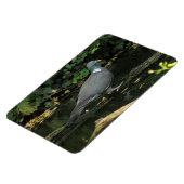 Columba palumbus magneet (Linkerzijde)