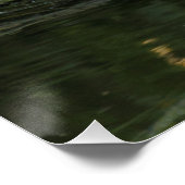 Columba palumbus perfect poster (Hoek)