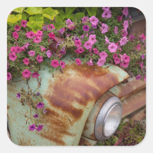 Columbia Falls Vierkante Sticker (Voorkant)