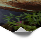 Columbia Herfsten Poster (Hoek)