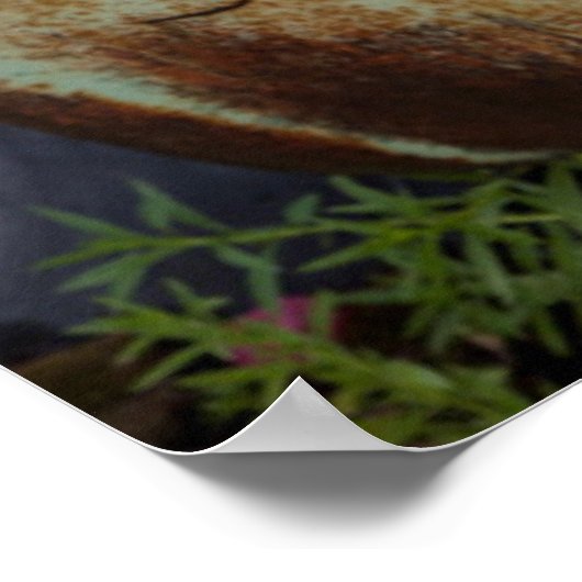 Columbia Herfsten Poster (Hoek)