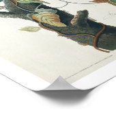 Columbia Jay door Audubon Poster (Hoek)
