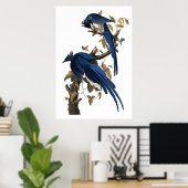 Columbia Jay | John James Audubon Poster (Thuiskantoor)