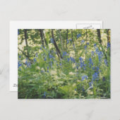 Columbia River Gorge Briefkaart (Voorkant / Achterkant)