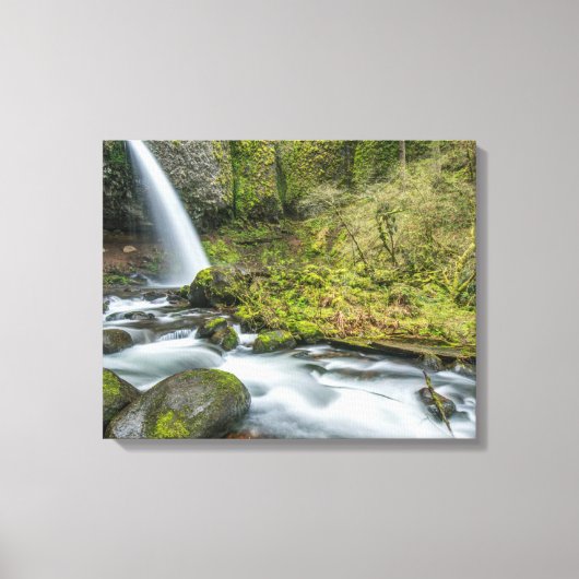Columbia River Gorge, Ponytail Falls Canvas Afdruk (Voorkant)