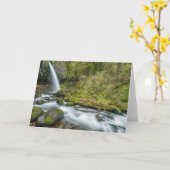 Columbia River Gorge, Ponytail Falls Kaart (Gele Bloem)