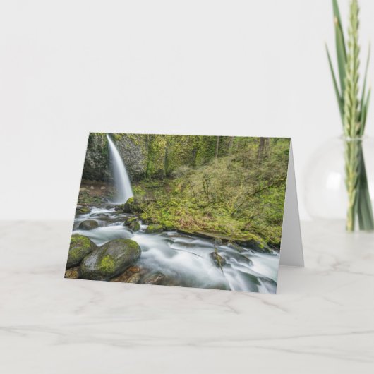 Columbia River Gorge, Ponytail Falls Kaart (Voorkant)