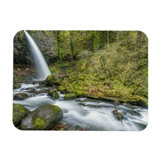 Columbia River Gorge, Ponytail Falls Magneet (Horizontaal)