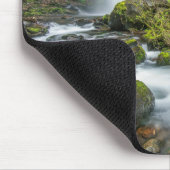 Columbia River Gorge, Ponytail Falls Muismat (Hoek)
