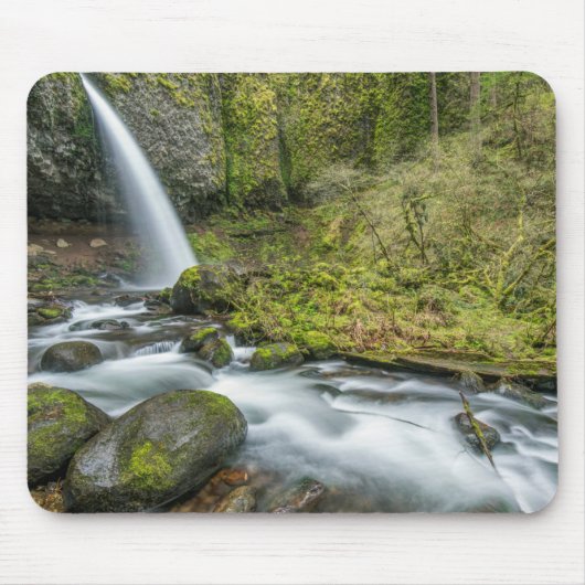 Columbia River Gorge, Ponytail Falls Muismat (Voorkant)