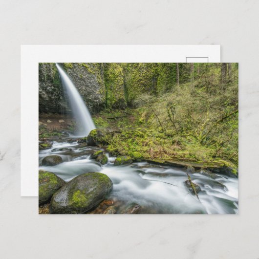 Columbia River Gorge, Ponytail Herfsten Briefkaart (Voorkant / Achterkant)
